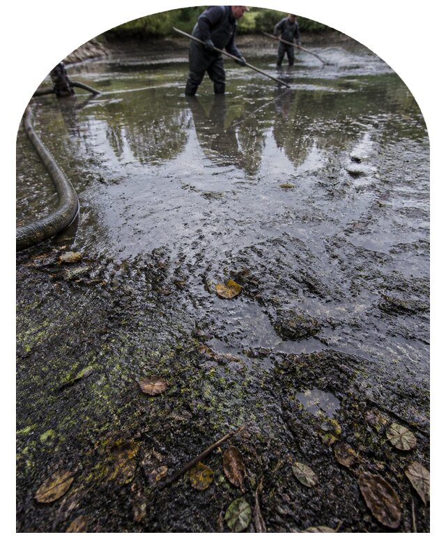 Очистка пруда в Череповце от ила мусора и водорослей с вывозом